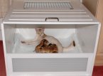 Snowsilk Whelping Box